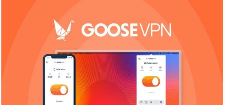 GooseVPN vs NordVPN vs ExpressVPN