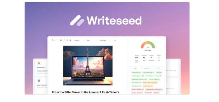 Why Choose Writeseed for SEO Content