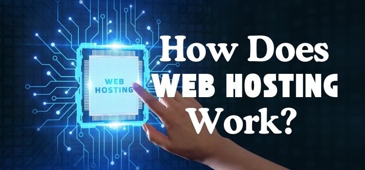 How Does Web Hosting Work