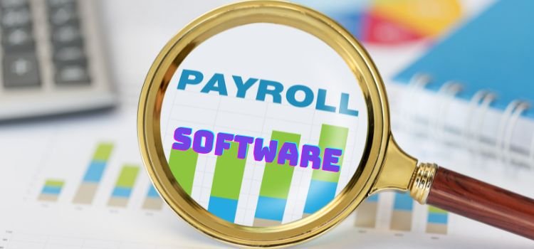 How to Manage Remote Team Payroll with the Right Software