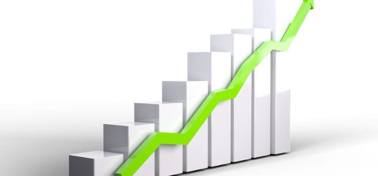 Web Analytics