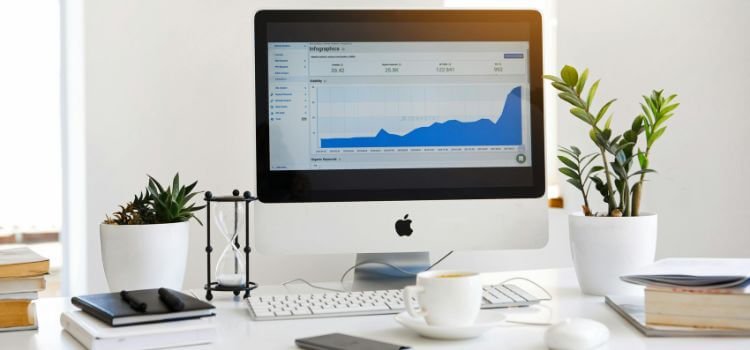 Web Analytics