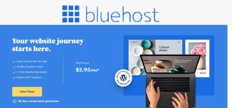 Best Web Hosting for Beginners