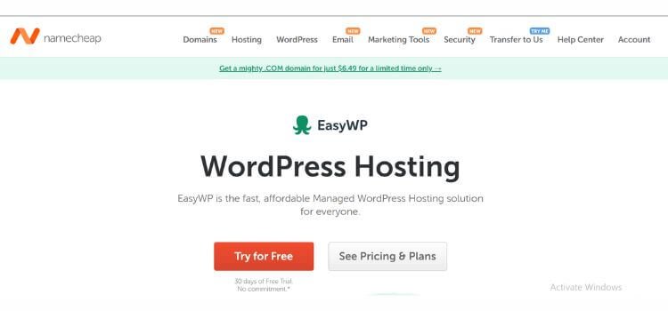 Web Hosting for Beginners