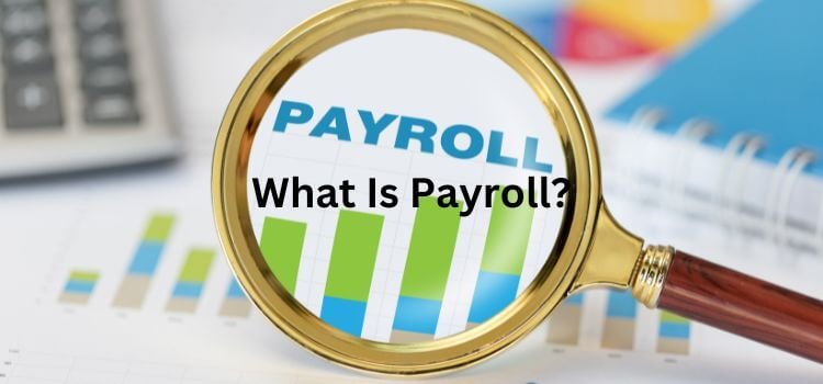 Paycheck vs Payroll