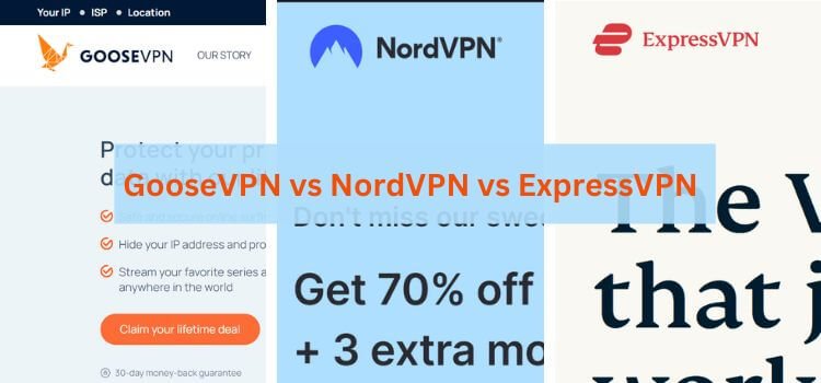 GooseVPN vs NordVPN vs ExpressVPN