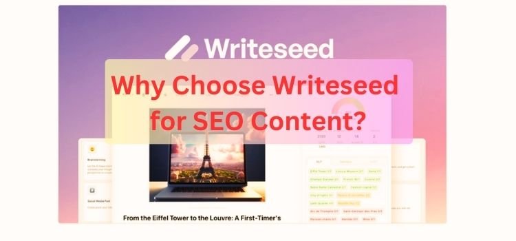 Why Choose Writeseed for SEO Content
